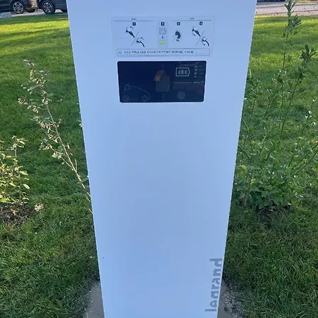 Les Pins Qui Chuchotent *